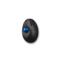 Kensington Pro Fit Ergo TB450 - rechts - Trackball - RF Wireless + Bluetooth - 1600 DPI - Schwarz - Blau
