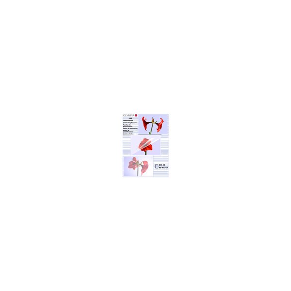Olympia 1x100 DIN A6 80 micron - Transparent - A6 - 100 Stück(e)