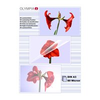 Olympia 1x50 DIN A3 80 micron - Transparent - A3 - 50...