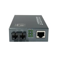 LevelOne Konverter GVT-2014 10/100/1000T>RJ45 to - Converter - 0,1 Gbps