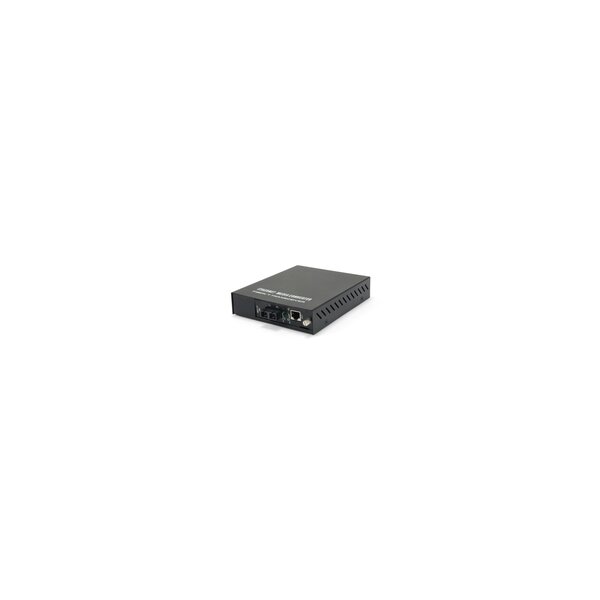 LevelOne FVM-1101 - Medienkonverter - Ethernet, Fast Ethernet
