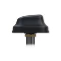 Teltonika PR1KC640 - 4 dBi - 617 - 4200 GHz - 50 Ohm - MIMO-direktionale Antenne - SMA - Männlich