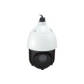 LevelOne FCS-4051 - IP-Sicherheitskamera - Innen & Außen - Kabelgebunden - CE/FCC - Zimmerdecke - Schwarz - Weiß