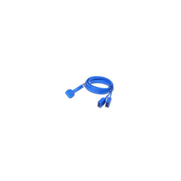 Chenbro Micom 26H03313601A0 - 0,75 m - 2 x USB A - USB 3.2 Gen 1 (3.1 Gen 1) - Blau