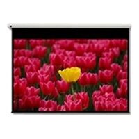 Optoma Pantalla 16:9 2656 x 1494mm - 3,05 m (120") - 16:9