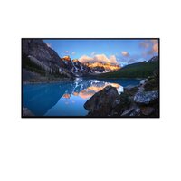 Dell UltraSharp 24 Monitor - U2424H without stand -...