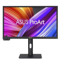 ASUS ProArt PA24US 61.13cm - Flachbildschirm (TFT/LCD)