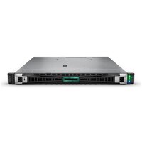 HPE DL325 G11 9124 MR408i-o 8SFF EU Svr