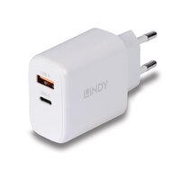 Lindy 65W USB Typ A & C GaN Charger - PC-/Server Netzteil - Parallel