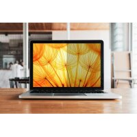 3M BRIGHT SCREEN PRIVACY FILTER