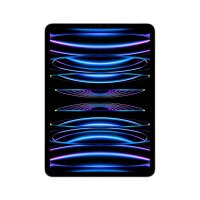 Apple iPad Pro Wi-Fi Silber - 11" Tablet - M2...