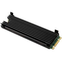 Thermal Grizzly TG-M2SSD-ABR - Schwarz