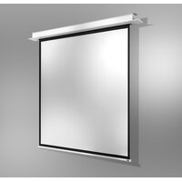 celexon 1000000865 - Motorisiert - 2,4 m - 2,4 m - 1:1 - Schwarz - Weiß