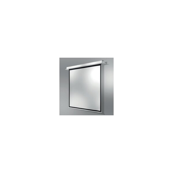 celexon 1000000869 - Motorisiert - 180 cm - 135 cm - 4:3 - Schwarz - Weiß