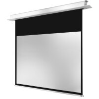 celexon 1000000873 - Motorisiert - 2,1 m - 2,8 m - 4:3 - Schwarz - Weiß