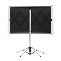 celexon Dual-Format Stativleinwand Mobil Expert 4 3/16 10 - 80" - Stativleinwand - 203,2 cm