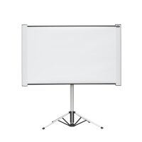 celexon Dual-Format Stativleinwand Mobil Expert 4:3/16:10...