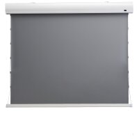 celexon HomeCinema Hochkontrastleinwand Tension 177 x 99...