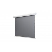 celexon HomeCinema Hochkontrastleinwand Tension 221 x 124...