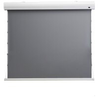 celexon HomeCinema Hochkontrastleinwand Tension 221 x 124...
