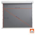 celexon 1000008117 - Motorisiert - 2,54 m (100 Zoll) - 2,11 m - 125 cm - 16:9 - Gespannter Bildschirm