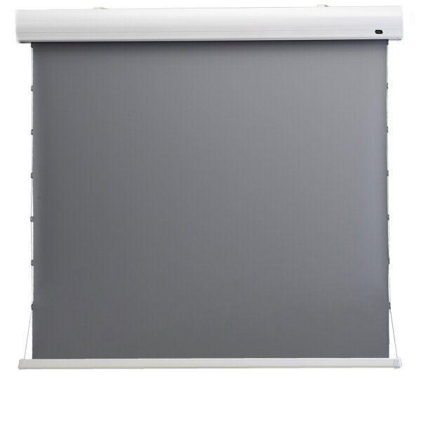 celexon HomeCinema - Motorisiert - 3,43 m (135") - 2,98 m - 168 cm - 16:9 - Gespannter Bildschirm