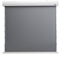 celexon HomeCinema Hochkontrastleinwand Tension 298 x 168...