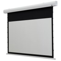 celexon Leinwand HomeCinema Tension 240 x 135 cm,...