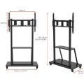 celexon 55110MP - 100 kg - 2,79 m (110 Zoll) - 139,7 cm (55 Zoll) - 800 x 200 mm - 800 x 800 mm - 1600 - 1750 mm