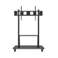 celexon 55120MP - 140 kg - 139,7 cm (55 Zoll) - 3,05 m (120 Zoll) - 1200 x 400 mm - 1200 x 800 mm - 1660 - 1820 mm