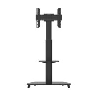 celexon Professional höhenverstellbarer Display...