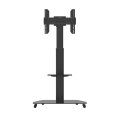 celexon 3770MP - 50 kg - 81,3 cm (32 Zoll) - 177,8 cm (70 Zoll) - 600 x 200 mm - 600 x 600 mm - 1160 - 1750 mm