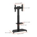 celexon 3770MP - 50 kg - 81,3 cm (32 Zoll) - 177,8 cm (70 Zoll) - 600 x 200 mm - 600 x 600 mm - 1160 - 1750 mm