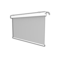 celexon Leinwand Motor Expert 220 x 137 cm
