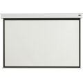 celexon Batterie Leinwand V2.0 Motor Professional Plus