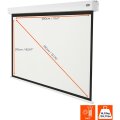 celexon Batterie Leinwand V2.0 Motor Professional Plus