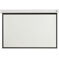 celexon Batterie Leinwand V2.0 Motor Professional Plus