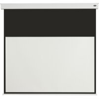 celexon Batterie Leinwand V2.0 Motor Professional Plus 180 x 102 cm