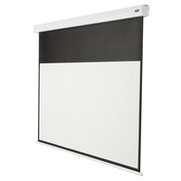 celexon Professional Plus - Motorisiert - 99,1 cm (39") - 2,2 m - 124 cm - 16:9