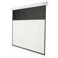 celexon Professional Plus - Motorisiert - 109,2 cm (43") - 2,4 m - 135 cm - 16:9