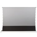 celexon UST Hochkontrast Bodenscheren Leinwand - HomeCinema Plus - 120" weiß - Motorisiert - 3,05 m (120 Zoll) - 2,66 m - 149,4 cm - 16:9 - Gespannter Bildschirm