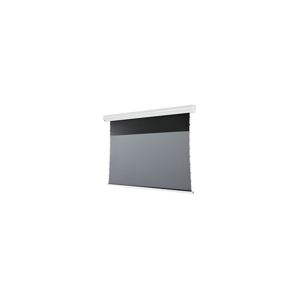 celexon Leinwand Motor HomeCinema Plus Tension - Motorisiert - 2,54 m (100") - 16:9 - Gespannter Bildschirm - Weiß