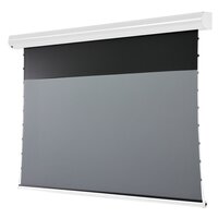 celexon Leinwand Motor HomeCinema Plus Tension -...