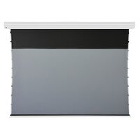 celexon Motorleinwand HomeCinema Plus Tension - Leinwand - 304,8 cm