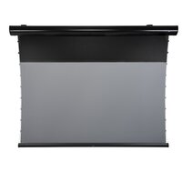 celexon Motorleinwand HomeCinema Plus Tension - Leinwand - 304,8 cm