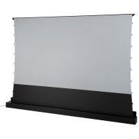 celexon UST Hochkontrast Bodenscheren Leinwand - Expert...