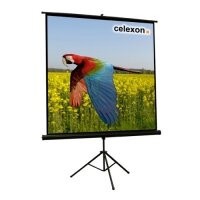 celexon Stativleinwand Economy 133 x 133 cm