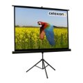 celexon 1090020 - 2,11 m - 158 cm - 4:3 - Schwarz - Weiß