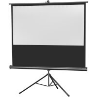 celexon 1090022 - 16:9 - Schwarz - Weiß