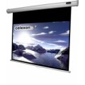 celexon 1090039 - 16:9 - Schwarz - Weiß